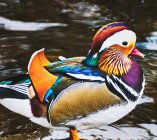 k-mitch-hodge-1y1yNPwFptU-unsplash---mandarynka-02